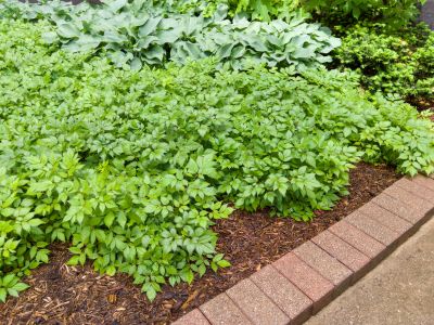 Brick Hardscaping in Boston, MA