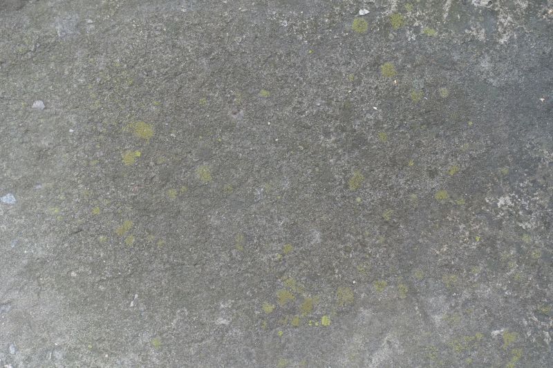 Cement Staining in Dallas, TX